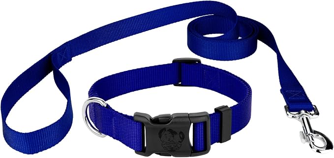 Country Brook Petz - Everyday Nylon Dog Collar and Leash - 10+ Cool Colors (3/4 Inch, Small, Bright Royal Blue)