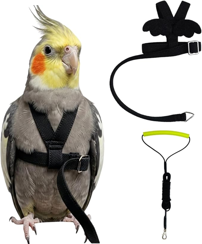 Adjustable Bird Harness with Elastic Leash, Pet Parrot Harness and Leash, Adjustable Training Design Anti-Bite, Bird Nylon Rope with Cute Wing for Conure (Black,2M)