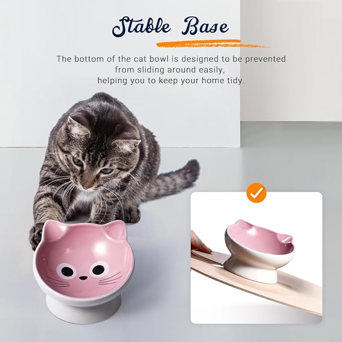 Raised Cat Food Bowl Ceramic 15° Tilted Cat Food Bowls Protect Cat's Spine Anti Vomiting Backflow Prevention for Adult, Kitten, and Small Dogs (Pink)