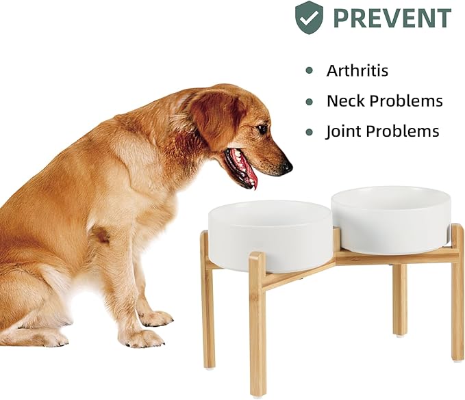 Havniva Ceramic Raised Double Bowls Set with Stand, Food & Water Bowls for Large Breed Dogs, Weighted Dog Dishes, Pet Bowl(8.2'',60OZ, White)