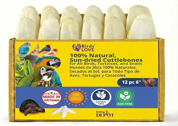 Birds LOVE 5.5-6″ Cuttlebone for Birds – 100% Natural Sun-Dried Calcium & Beak Conditioning Supplement for Parakeets, Budgies, Cockatiels, Finches & Canaries – 12 Pack with Holder – Made in Vietnam