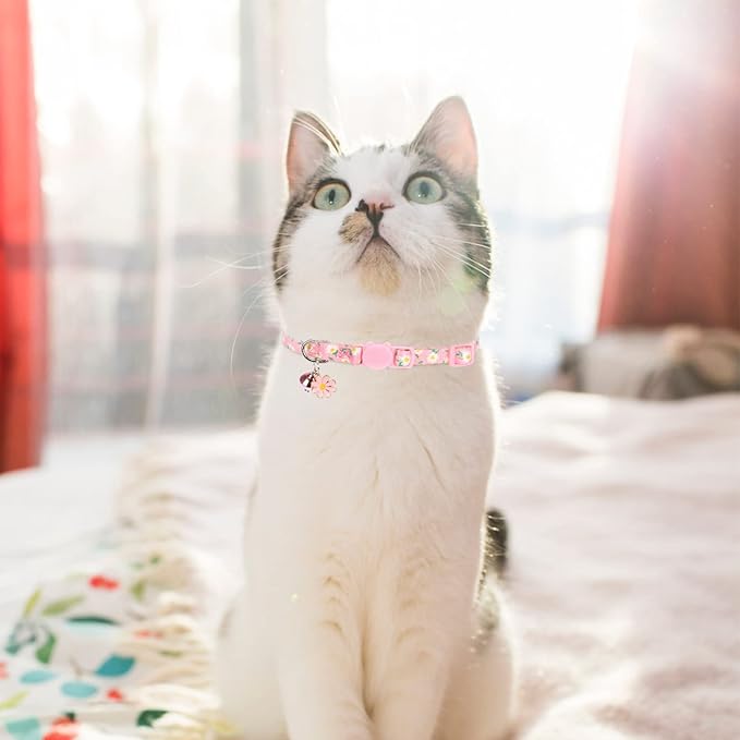 Breakaway Cat Collars with Bell & Cute Pendants, 3 Pack Safety Buckle Kitten Collars, Adjustable Pet Collar Ideal for Girl Boy Cats Puppy (Daisy Pattern)