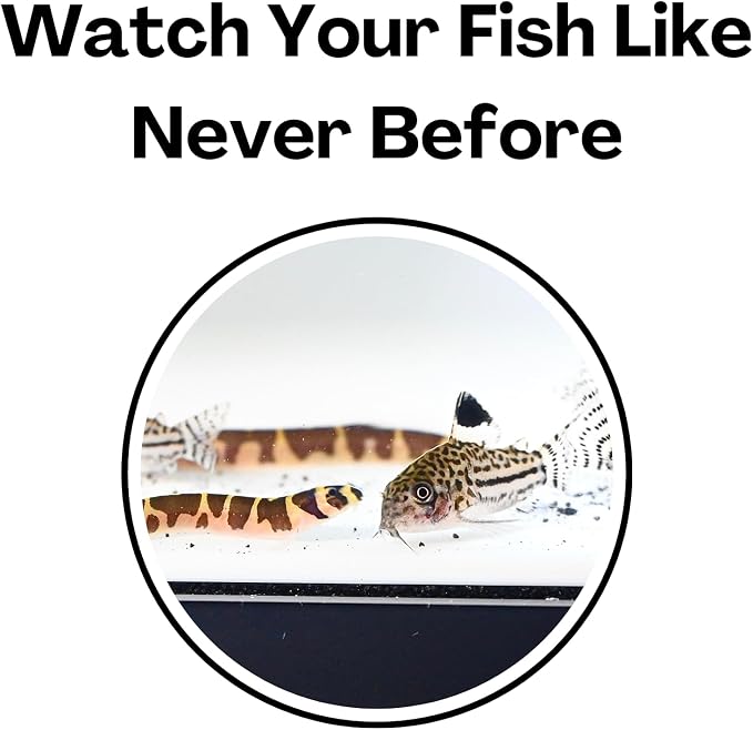 Aquarium Underground Tunnel Cave Natural Curve Two Hole | Viewing Fish & Shrimp Under Gravel Tunnel | Fish Tank Decor Decoration Hideout Perfect for Corydora Catfish, Kuhli Loach, Pleco (White)