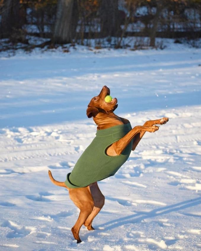 Gooby - Stretch Fleece Vest, Pullover Fleece Vest Jacket Sweater for Dogs, Brown, 6X-Large