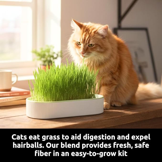 Hydroponic Cat Grass Grow Kit for Indoor Cats - Cat Lover Gift - New Pet Present - Grow Container and 2 Oz Cat Grass Non-GMO Seeds - No Soil or Tools Needed - Modern Look - Loved by Pets