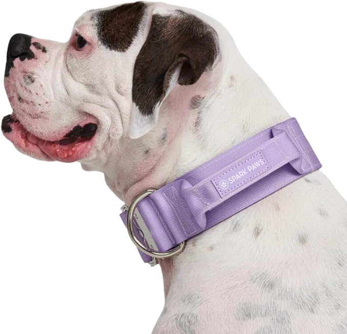 Spark Paws Tactical Dog Collar - Heavy Duty, Premium Quality, Thick and Durable for Large and Medium Dogs - Purple - L