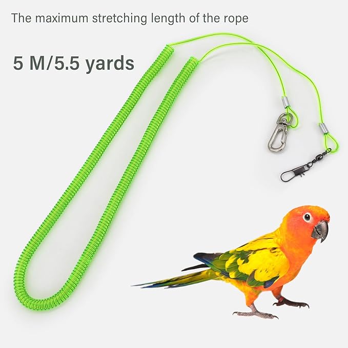 Parrot Flying Leash, 16.4 ft Training Rope with 3 Size Bird Foot Ring, Anti-Bite Elastic String for Cockatiels, Birds, Pigeon (Clear)