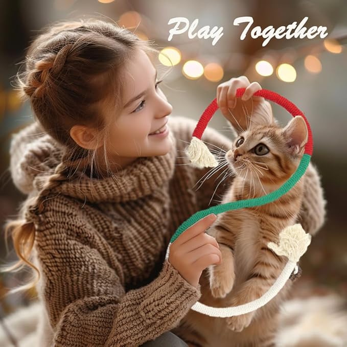 Cat Toys for Indoor Cats 21pcs Kitten Chew Self Play Kitty Dental Rope Interactive Catnip Toy Refillable Matatabi Treats for Cleaning Teeth Lickable Silvervine Feather Sticks