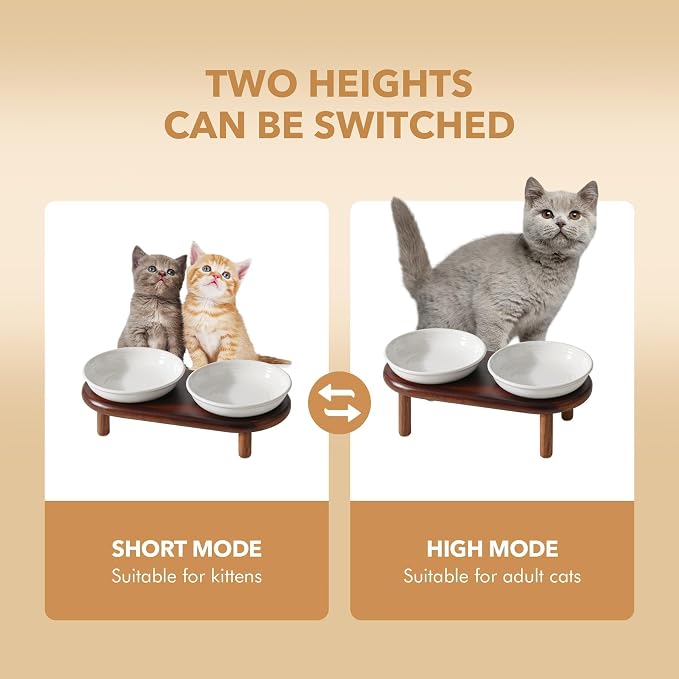 Havniva Elevated Cat Bowls Raised Ceramic Cat Bowl, 5.7” Wide Opening Cat Food Bowl Whisker Friendly Cat Dish Anti-Slip with Wood Stand, Shallow Pet Food & Water Bowl for Indoor Cats