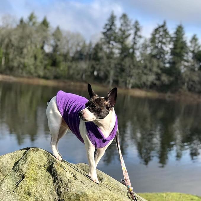 Gooby Fleece Vest Dog Sweater - Lavender, Medium - Warm Pullover Fleece Dog Jacket with O-Ring Leash for Small to Medium Dogs