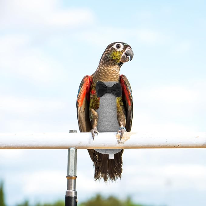 SUPVOX Bird Diaper Pigeon Flight Suit Reusable Parrot Clothing Adorable Design for Cockatoos Parakeets