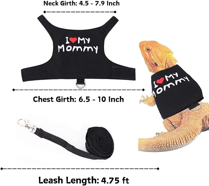 Small Animal Travel Backpack Carrier,Portable Bearded Dragon Bag for Sugar Glider,Hedgehog,Rat,Bunny,Rat,Outdoor Used (Black, Carrier L+ I Leash)
