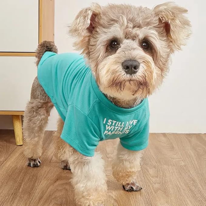 Cute Dog Clothes, T Shirt for Medium and Small Dogs Girl Boy,Puppy.Breathable Soft Dog Costume for Pet Dogs Cats, Pet Pullover Jumper, Cat Clothes (L-(10~17lb), Chest~18", Aqua)