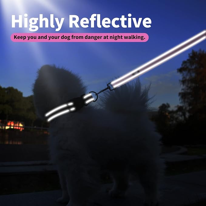 IVY&LANE Reflective Dog Collar and Leash Set,Adjustable Neoprene Padded Dog Collars, Breathable Nylon Pet Collar for Small Medium Large Dogs (Medium,Fuchsia Pink)