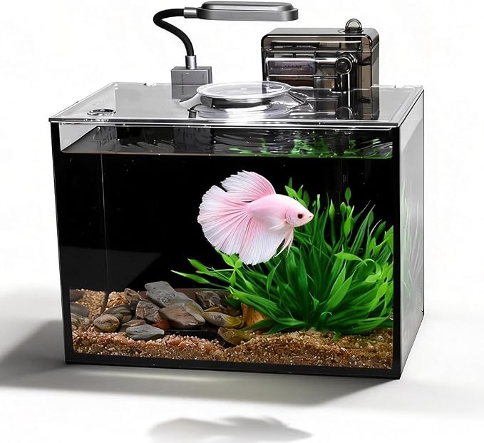 2.8 Gallon Fish Tank with Light,Filter,Lid,Landscape Accessories | Small Fish Tank,Aquarium Starter Kit,Glass Aquarium,for Small Fish,Shrimp,or Betta