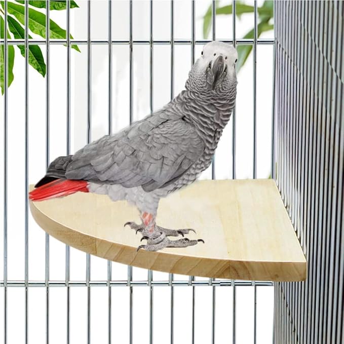 Litewoo Bird Parrot Corner Perch Flat Platform Stand, Easy to Install, Safe and Stable, Smooth Polishing Without Hurting Feet, Solid Hardwood Bird Cage Perches（2PC * L）