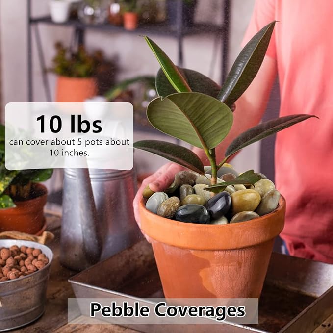 10lbs Pebbles for Indoor Plants, 1-2 Inch Mixed Color High Polished River Rocks Outdoor Decorative Stones Vase Filler Fish Tank Aquariums Landscaping Garden Outdoor and Indoor DIY