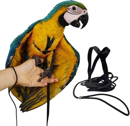 Adjustable Bird Harness and Leash for Parrots Outdoor Flight Training Anti-Bite Light Weight Easy-to-Wear Bird Vest with 59 Inch Elastic Leash for Quaker Conure African Grey Macaw Cockatoo (XL)