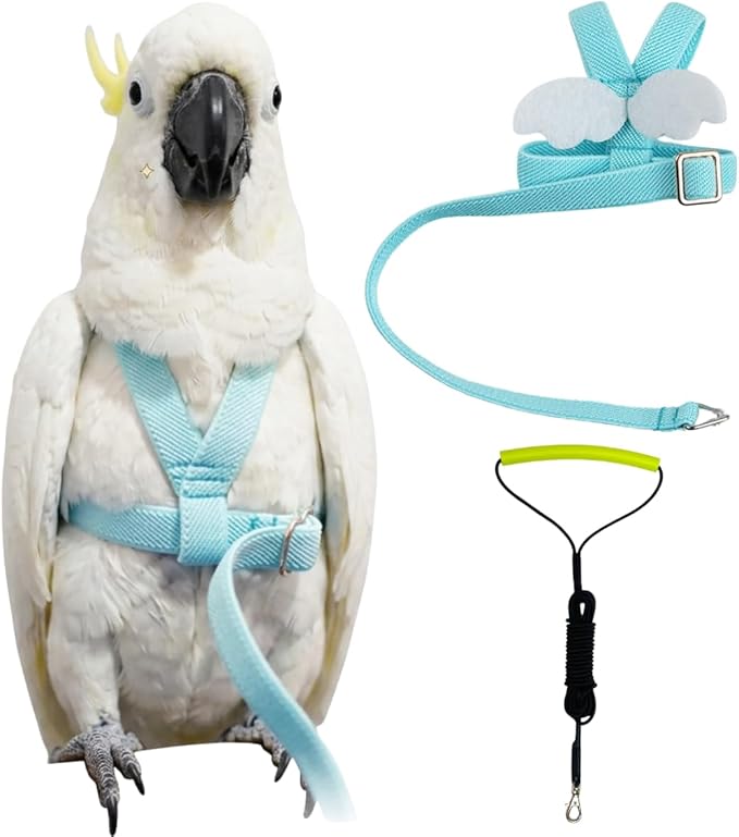 Adjustable Bird Harness with Elastic Leash, Pet Parrot Harness and Leash, Adjustable Training Design Anti-Bite, Bird Nylon Rope with Cute Wing for Conure (Lake Blue,Sulphur-Crested Cockatoo)