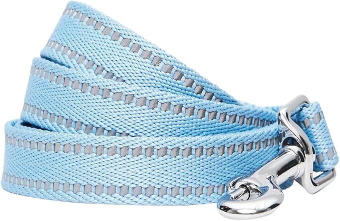 Blueberry Pet Essentials Reflective Dog Collar & Leash Set, Adjustable for Medium Dogs | Safe Walking Gear for Pet Parents, Puppy Training & Daily Use MediumDogs, Baby Blue