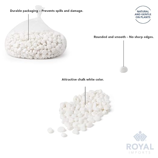 Royal Imports River Rocks, Aquarium Gravel – White 1"- 1.5" - 5 lbs | Decorative Ornamental Vase Filler Pebbles for Potted Plants, Terrariums, Vases, Succulents, Fish Tank Gravel, DIY & Crafting