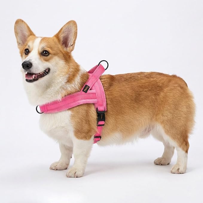 Didog Soft Flannel Padded Dog Vest Harness, No Pull/Quick Fit Reflective Dog Strap Harness, Easy for Training Walking (M:Chest 22-26", Pink)