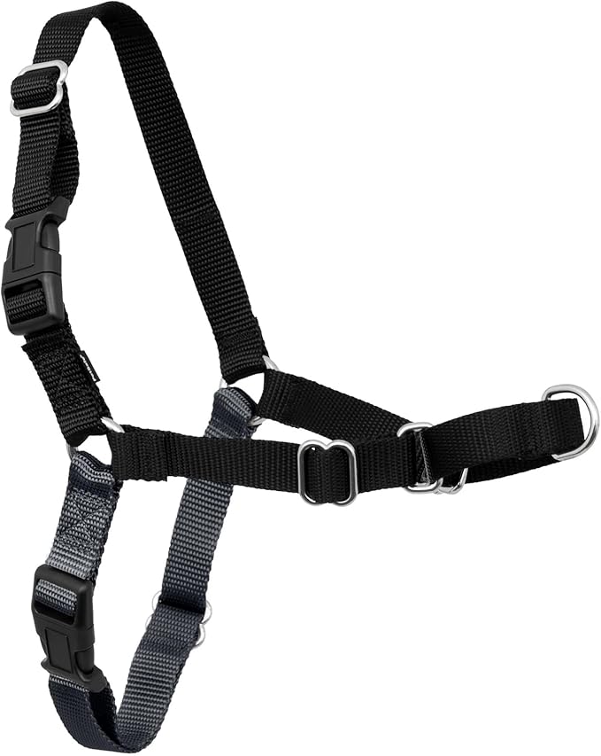 PetSafe Easy Walk Harness for Dogs - Pull-Free Walks - Patented Martingale Loop Design - Front Chest Leash Attachment - Comfort Straps - Breathable Harness Design - Medium, Charcoal/Black