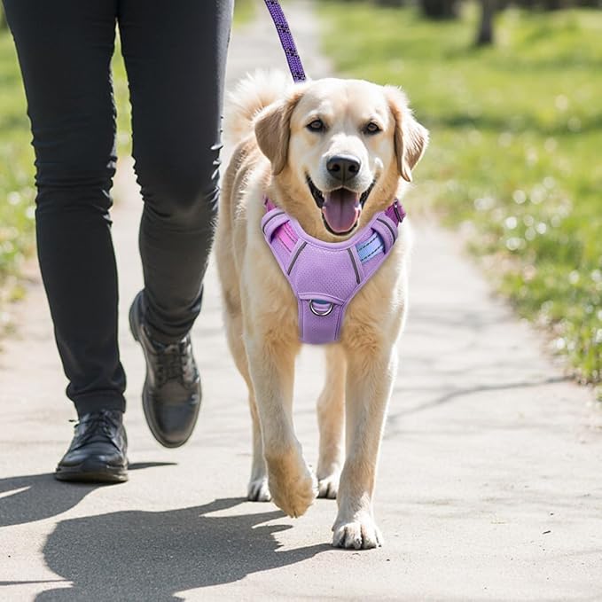BARKBAY No Pull Dog Harness Large Reflective Dog Harness with Front Clip and Easy Control Handle for Walking Training Running with ID tag Pocket(Lavender Sky,L)