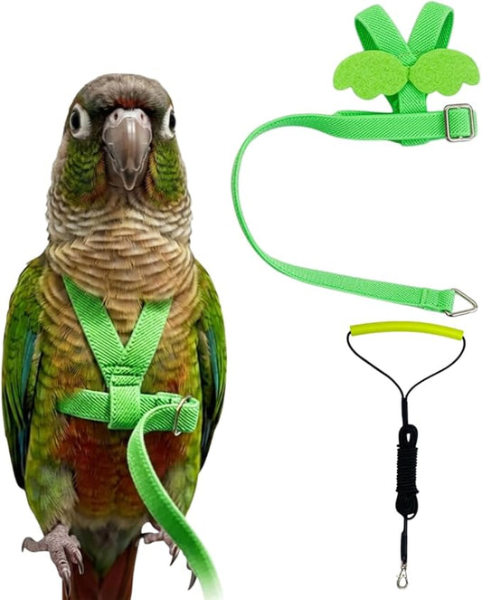 Adjustable Bird Harness with Elastic Leash, Pet Parrot Harness and Leash, Adjustable Training Design Anti-Bite, Bird Nylon Rope with Cute Wing for Conure (Green,M)