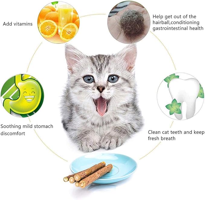 WoLover 10 PCS Cat Catnip Sticks, Natural Matatabi Silvervine Sticks - Cleaning Teeth Molar Tools Kitten Chew Toy Natural Catnip Cats Toy