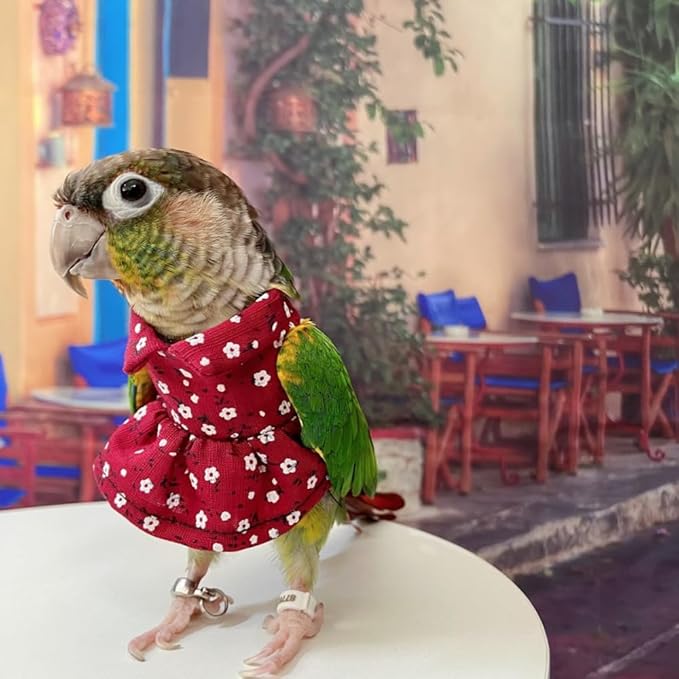 Bird Costume Bird Diaper Flight Suit Vintage Floral Dress Summer Skirt Clothes Cosplay Photo Prop for Parrots Lovebird Parakeet Cockatiel Small Animals Apparel (Green Cheek Conure)