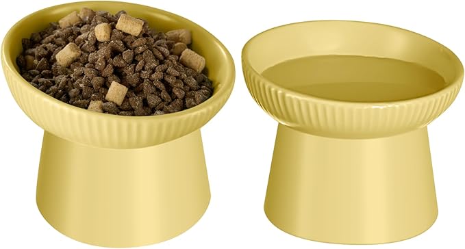 Ceramic Elevated Cat Bowls-Water Bowl, 15° Tilted Design, Anti-Vomiting & Spine Protection, Prevent Whisker Fatigue for Kittens to Adult Cats and Small Dogs (Yellow-15° Cat Bowls-2)