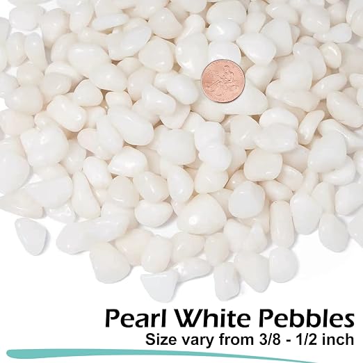 GASPRO 10 lb Highly Polished White Pebbles & Stones - 3/8" Small Decorative Rocks for Indoor Plants, Succulents, Vases, Terrariums & Home Decor