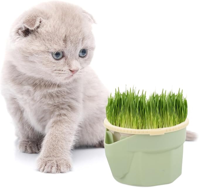POPETPOP Cat Grass Hydroponic Planting Cup Soilless Catnip Box with Double-Layer Design Easy to Clean Household Cat Plant Pot 3.93X3.54X2.48 Inch