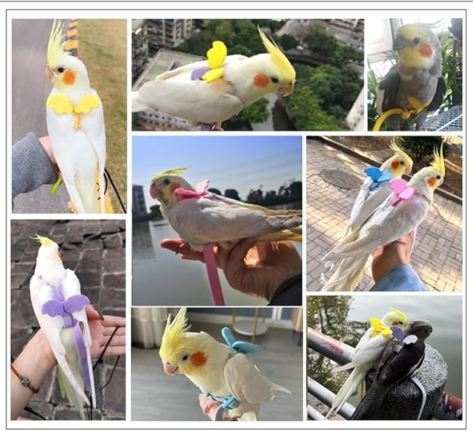 3pcs Parrot Flying Harness Leash Suit Pet Bird Outdoor Flight Training Rope Cockatiel Supplies Macaw Accessories Stuff for Budgie