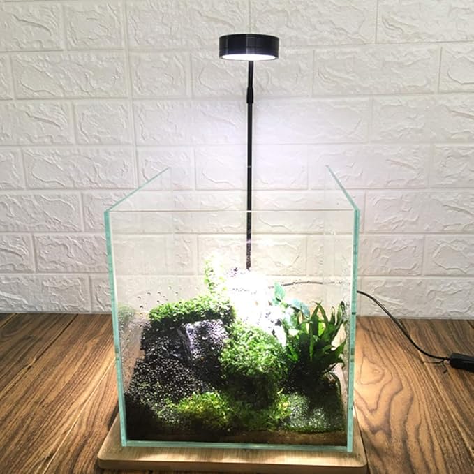 Full Spectrum LED Light with Bamboo Board Nano Fish Tank Light USB Powered 360 Degree Bettas Fish Tank Lights for Plant Growth(Size:M/22x23.5cm)