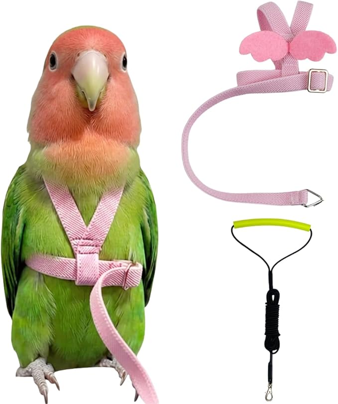Adjustable Bird Harness with Elastic Leash, Pet Parrot Harness and Leash, Adjustable Training Design Anti-Bite, Bird Nylon Rope with Cute Wing for Conure (Pink,S)