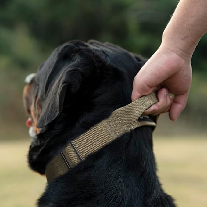 TSPRO Premium Dog Collars Tactical Dog Collar with Handle and Heavy Duty Quick-Release Metal Buckle Durable Thick and Adjustable for Medium to Large Dogs (Camo Blue M)