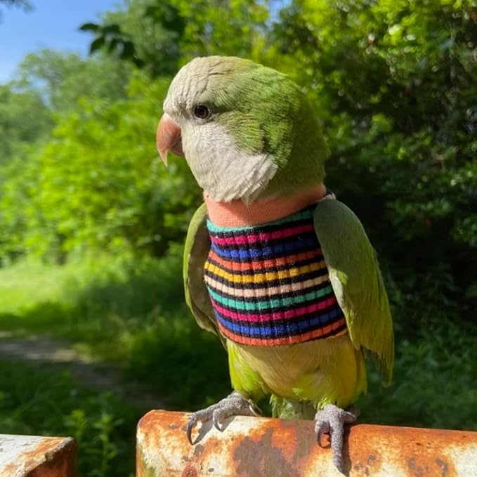 Bird Clothes - Handmade Cotton Stripe Shirt Round Collar Sweater Flight Suit for Parrots African Greys Parakeet Cockatiel Sun Conure Christmas Halloween (Without Diaper,M)