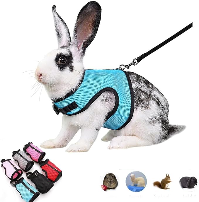 Rabbit Harness with Leash Set Escape Proof, Soft Bunny Mesh Vest Adjustable Buckle for Ferret Guinea Pig Hamster Walking Small Animal Pets Rat, Blue XL