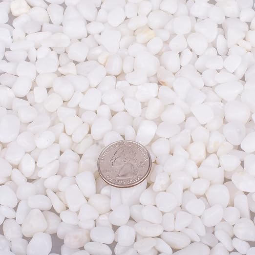 3.0 LB White Polished Pebbles 3/8", Natural Decorative Smooth River Rocks, Gravel Size White Small Pebble Stone for Succulent, Bonsai, Potted Plants, Landscaping, Fairy Garden, Aquarium