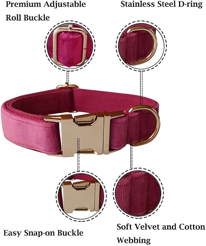 Velvet Dog Collar and Leash Set with Quick Release Metal Buckle | Bright & Stylish Leash and Collar Set, Soft Heavy Duty Pet Collars Adjustable for Samll Medium Large Dogs or Cats