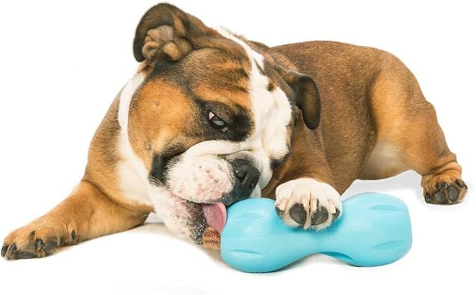 West Paw Qwizl Durable Zogoflex Dog Puzzle Toy for Mental Stimulation, and Enrichment - Treat Dispensing for Bully Sticks and Dental Sticks - Dishwasher Safe - Made in USA - Large - Aqua