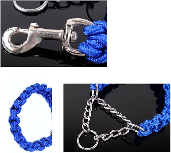Love Dream Dog Collar and Leash Set, Heavy Duty Nylon Braided Rope Strong 4 FT Dog Leash and Martingale Training Collar for Small Medium Large Dogs Training and Walking (Blue)