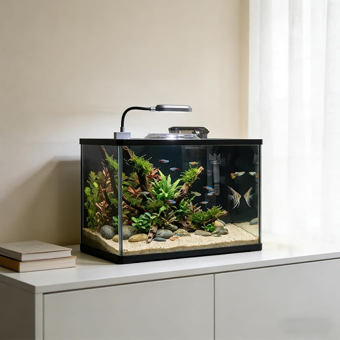 Rise Torrent Glass Fish Tank, 2.8 Gallon Betta Fish Tank Aquarium Starter Kit with Filter and Light, Small Desktop Aquarium Kit for Betta, Goldfish, Small Fish or shrimg