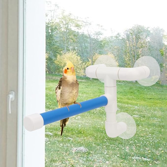Hypeety Bird Parrot Stand Perch Shower Perch Standing Toy Portable Suction Cup Parrot Bath Stands Suppllies Holder Platform Parakeet Window Wall Hanging Play (3 Suction Cups2)