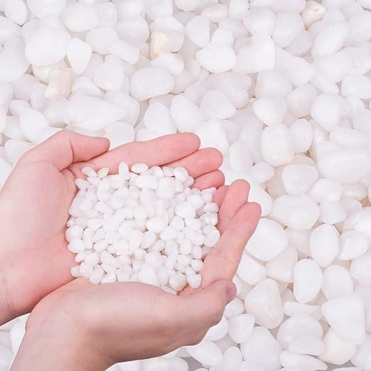 6.0 LB White Polished Pebbles 3/8", Natural Decorative Smooth River Rocks, Gravel Size White Small Pebble Stone for Succulent, Bonsai, Potted Plants, Landscaping, Fairy Garden, Aquarium