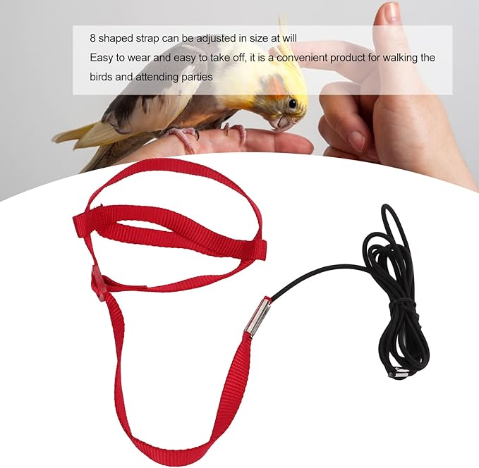 Elastic Parrot Harness Leash Bird Leash Bite Proof Harness Adjustable Parrot Flying Training Rope with Metal Hook Nylon Webbing for Cockatiels Walking (L)