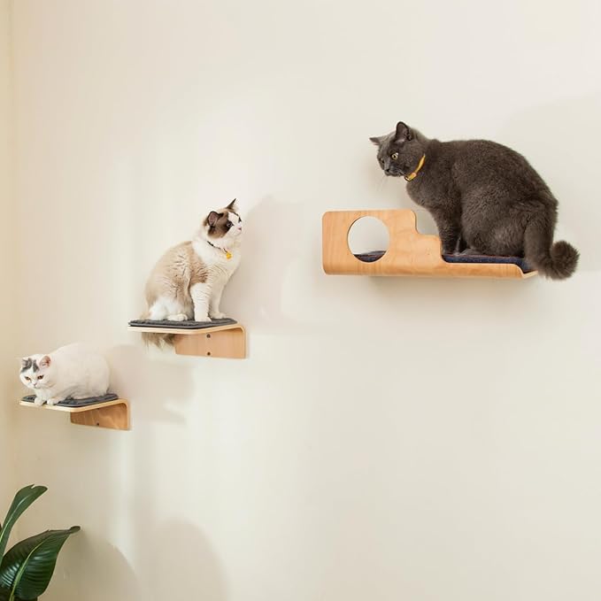 LIORCE Cat Wall Shelves with 2 Steps, Creative Design Cat Shelf with Peephole, 19 x 10 inch Cats Wall Furniture with Comfortable Pad, Cats Perch for Sleeping, Playing, and Scratching.