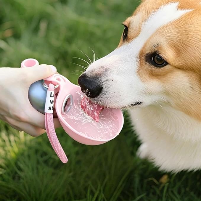2-in-1 Portable Dog Water Bottle for Small Dogs,2026 New Foldable Pet Water Bottle,Waterbottle for Dogs on Walks,230ml Stainless Steel Pet Waterbottle,Leak-Proof & Compact Dog Travel for Hiking